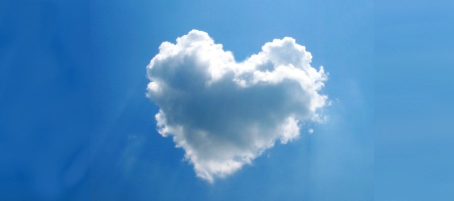 The One I’ve&nbsp;Chosen